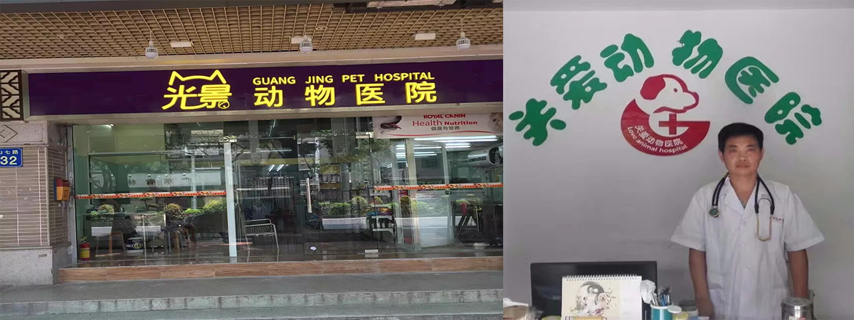 ��(y��u)�|(zh��)�����t(y��)Ժ�͑�12